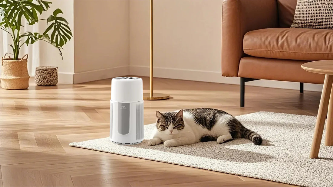 Pet Dander Removal Air Purifier: The Ultimate Solution for Cleaner Air