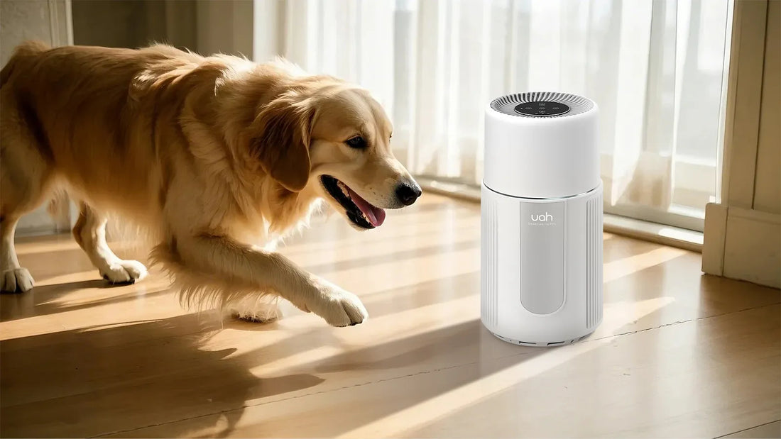 Top Air Purifiers for Pet Allergies: A Comprehensive Guide
