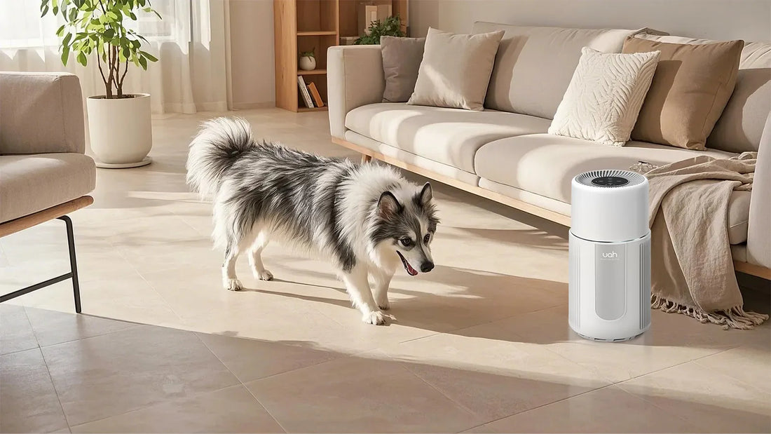Do Air Purifiers Get Rid of Pet Smells? Exploring the Science and Solutions