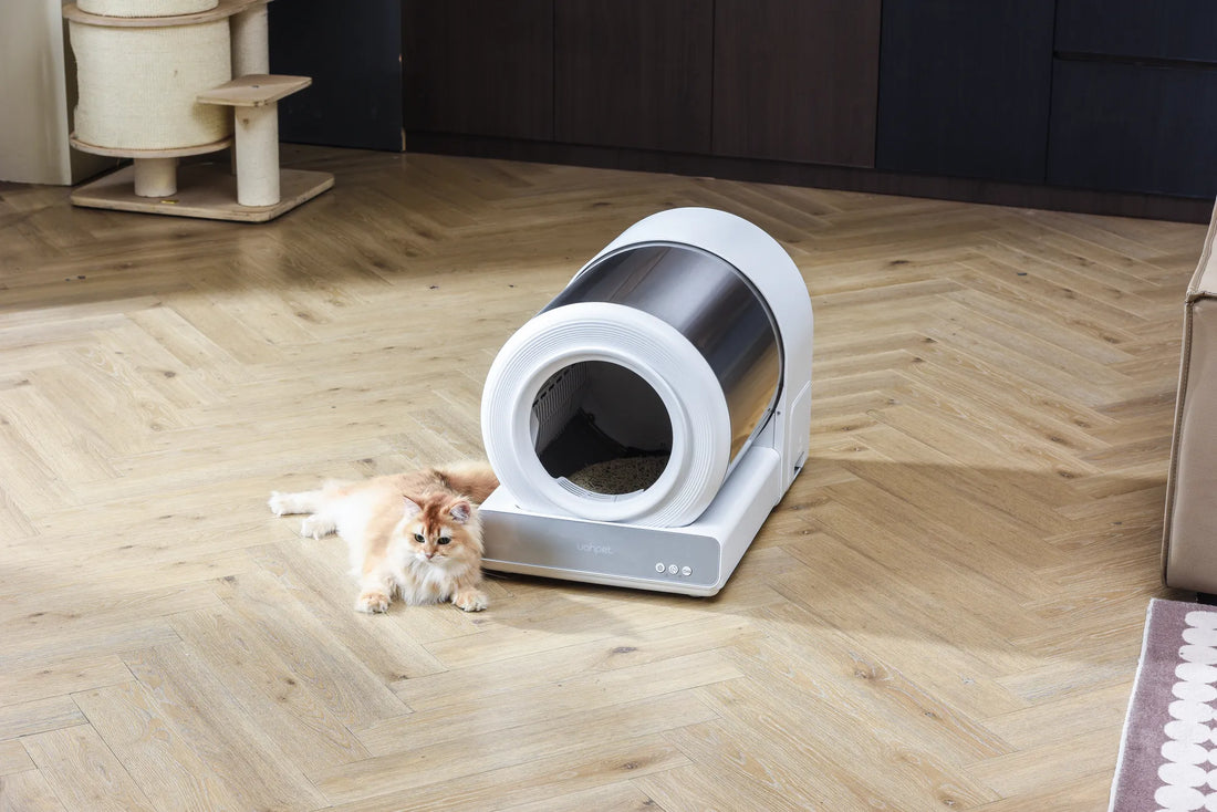 Stainless Steel Enclosed Cat Litter Box: The Ultimate Solution for Pet Owners
