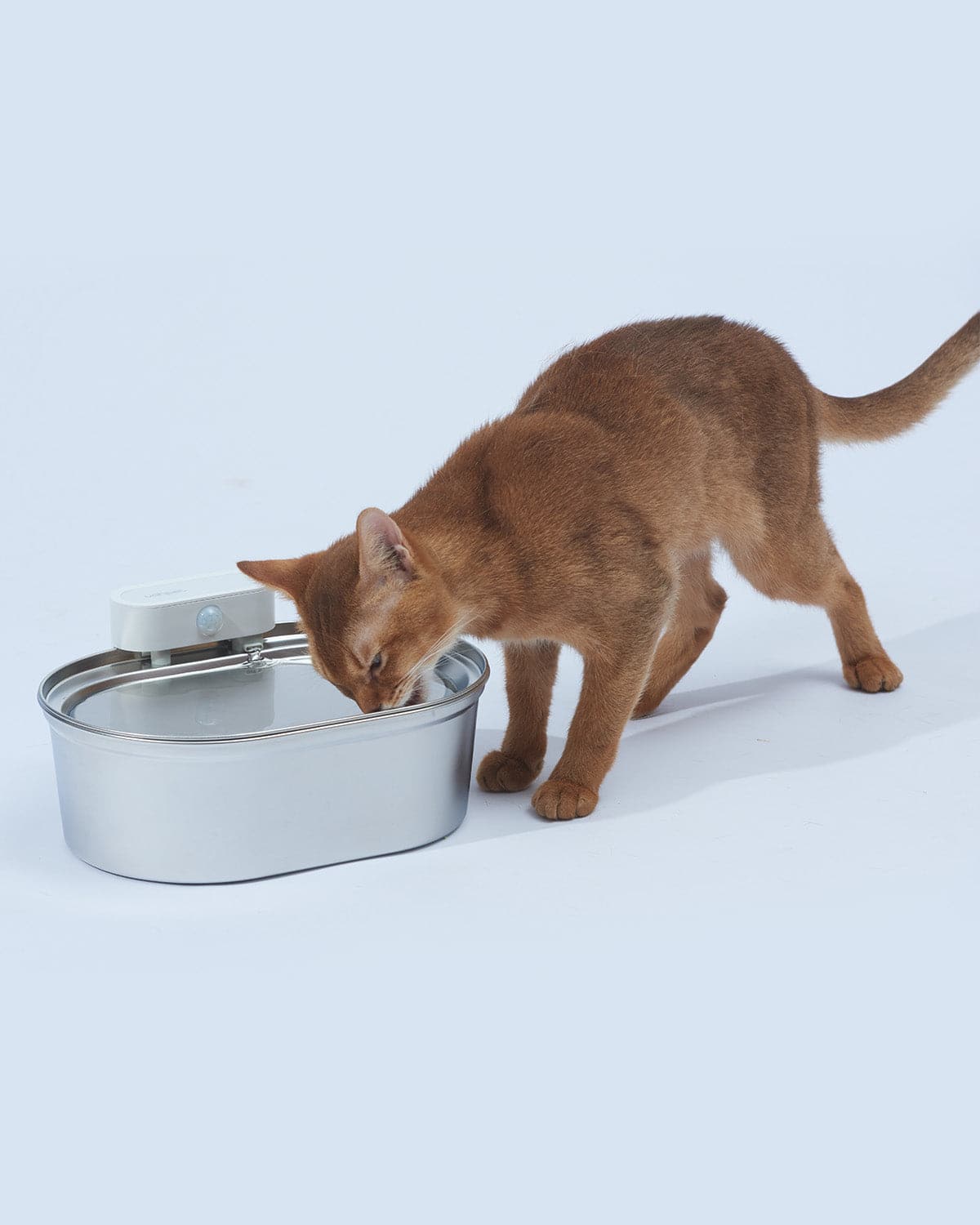Uah Pet ZERO Stainless Steel Wireless Pet Water Fountain For Black Friday
