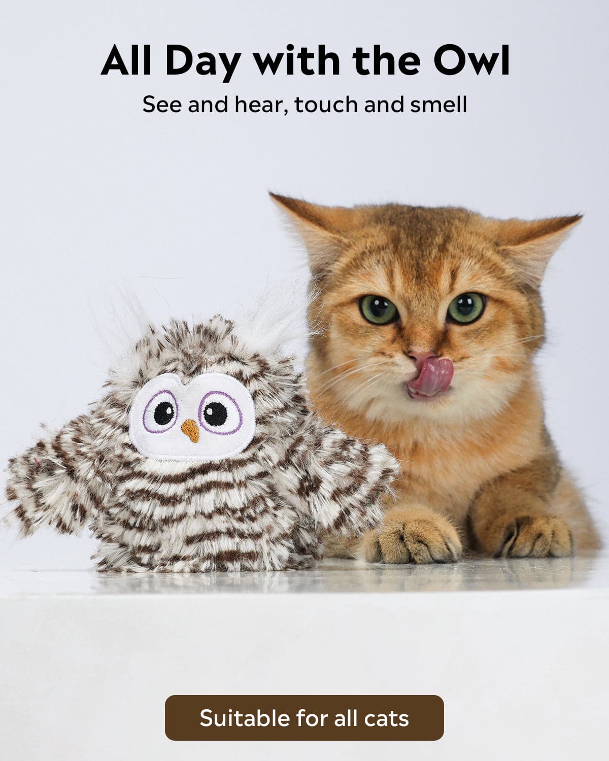Uah Pet Crazy Swinging Owl Cat Toy