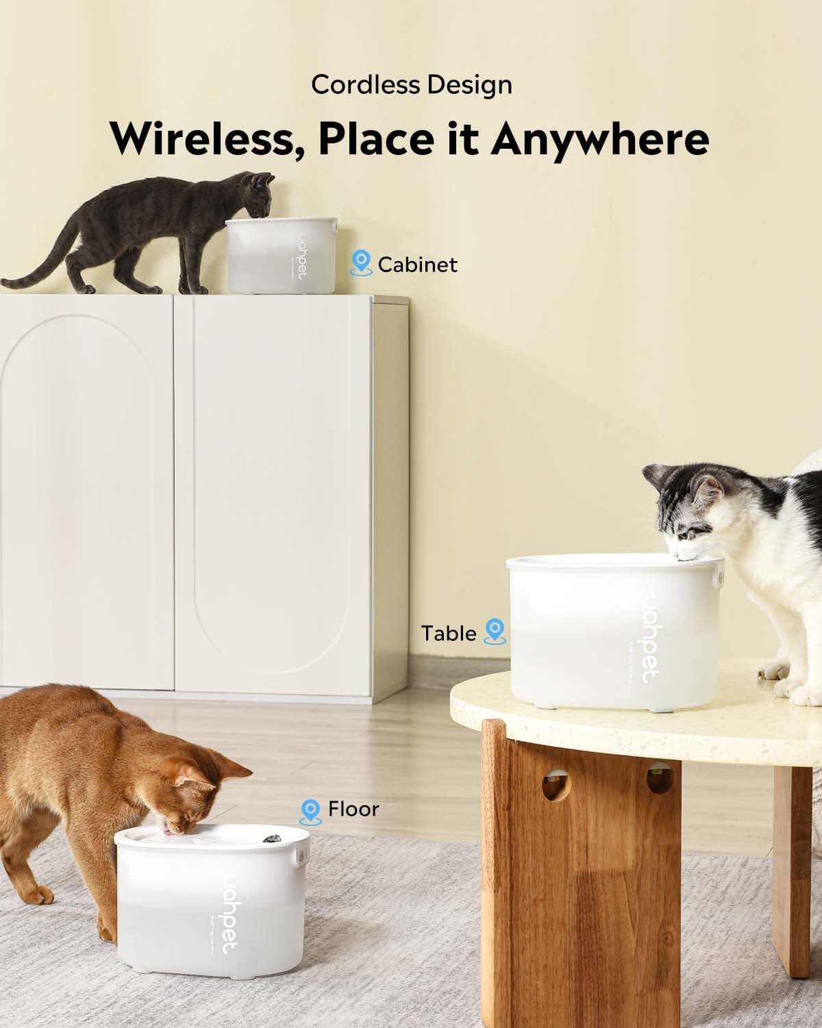 LED Fountian & Cat Essentials