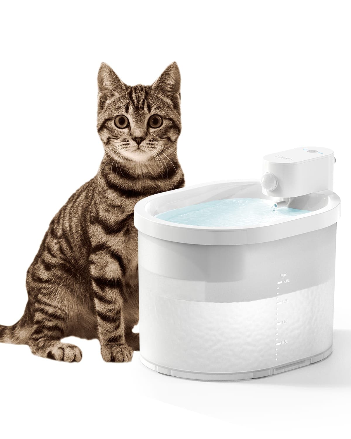 Pet Fountain Water Dispensers For Cats Automatic Wireless Cat