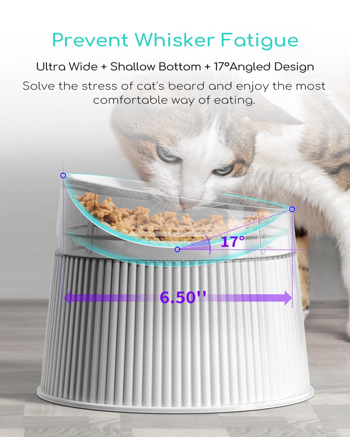 LED Fountian & Cat Essentials
