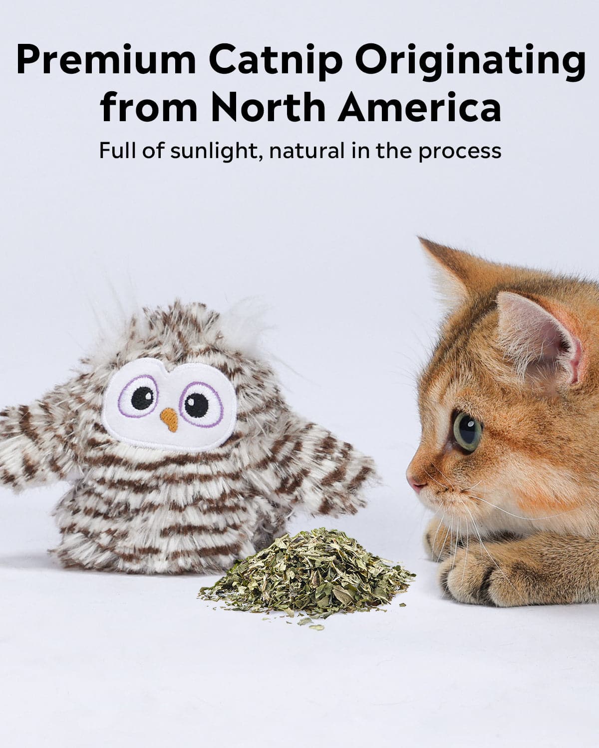 Uah Pet Crazy Swinging Owl Cat Toy
