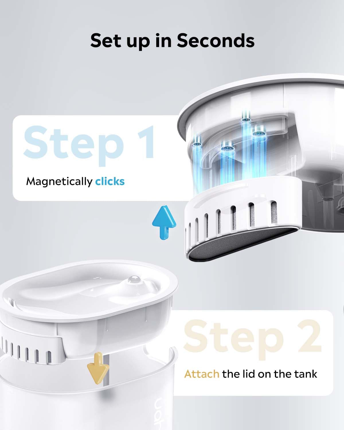 LED Fountian & Cat Essentials