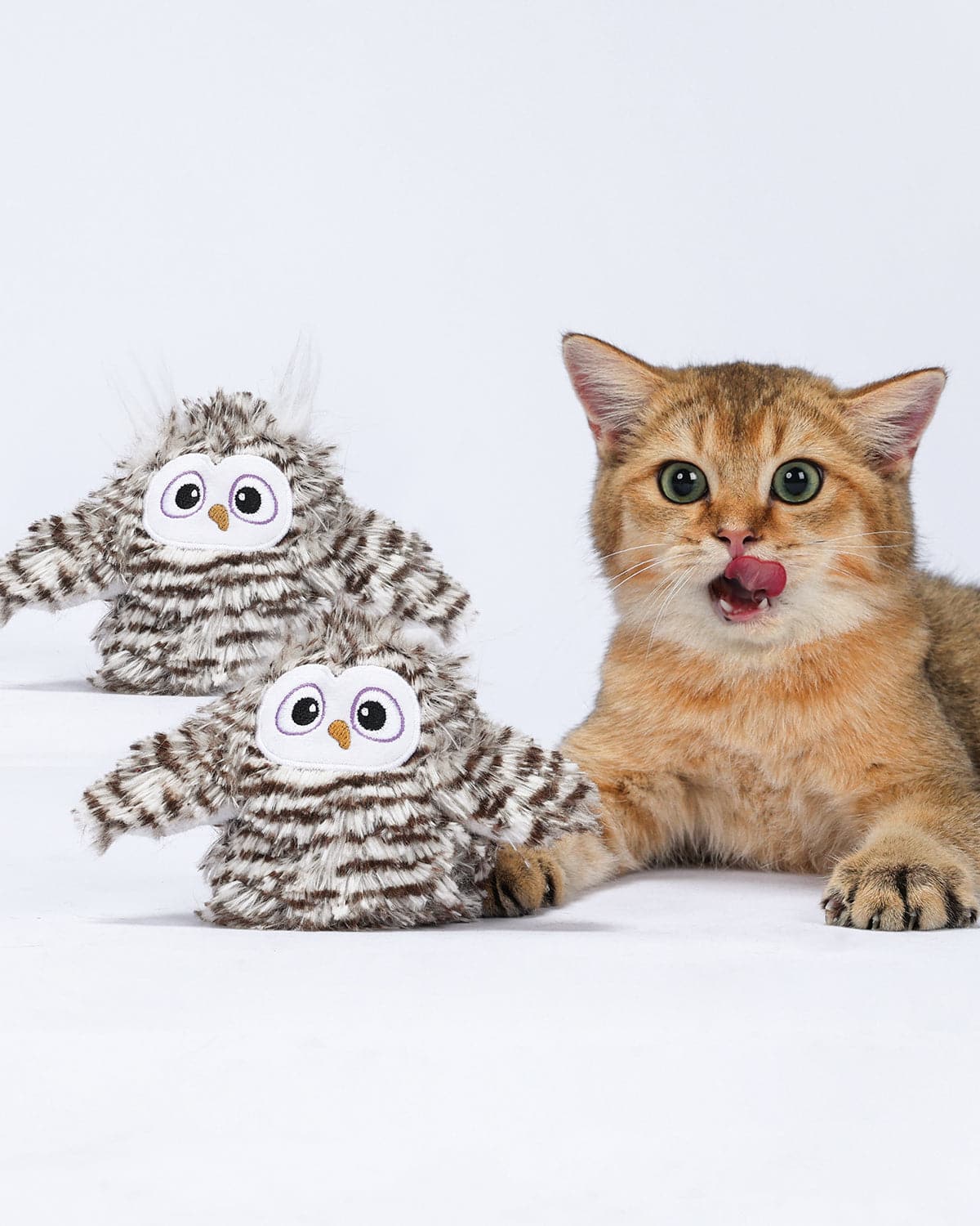 Uah Pet Crazy Swinging Owl Cat Toy