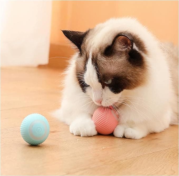 Uahpet™ - Interactive Smart Cat Toy