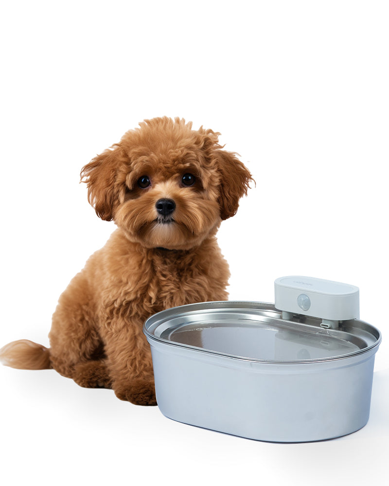 Stainless Steel Wireless Cat Fountain UahPet