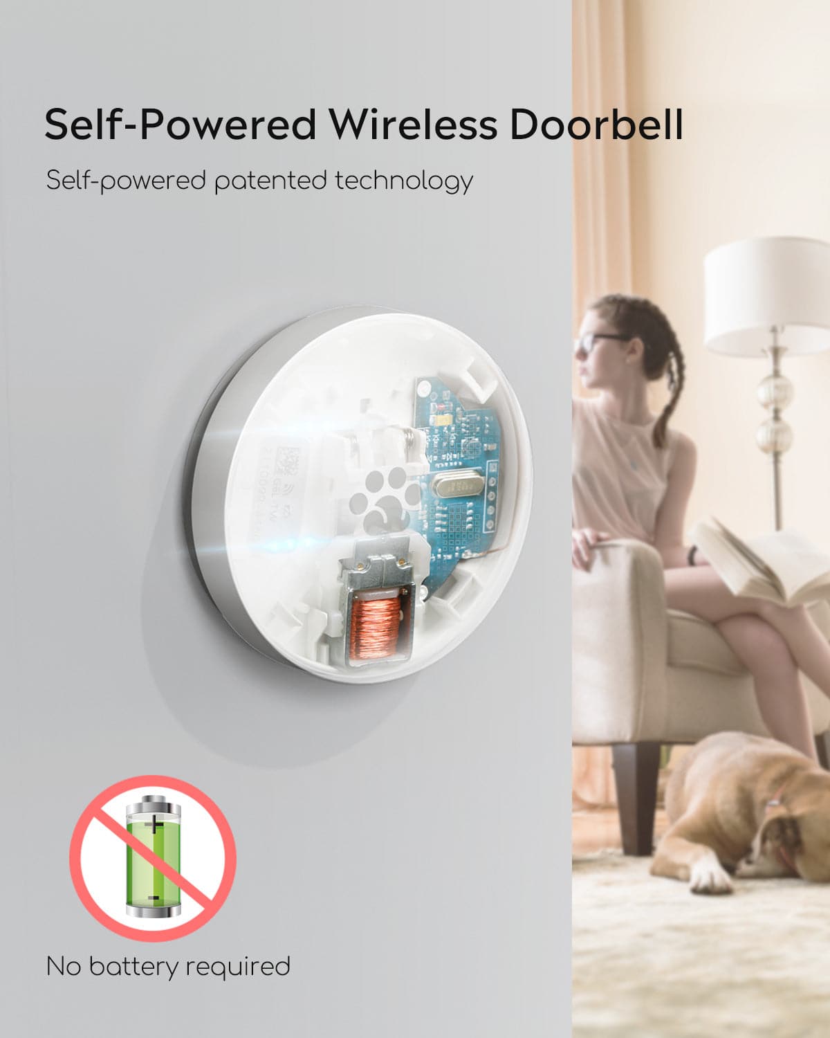 Wireless Dog Doorbell