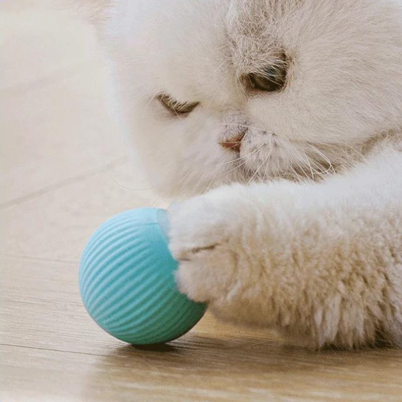 Uahpet™ - Interactive Smart Cat Toy