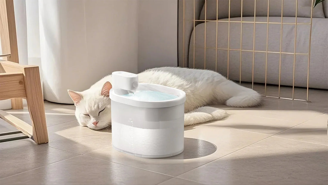 Two-bowl pet feeder guide for cats, dogs, and multi-pet households