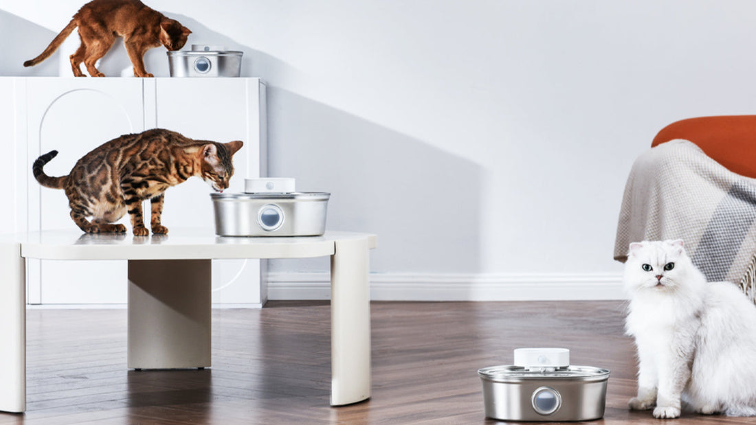 Metal Cat Water Fountain: The Ultimate Hydration Solution for Your Feline Friend