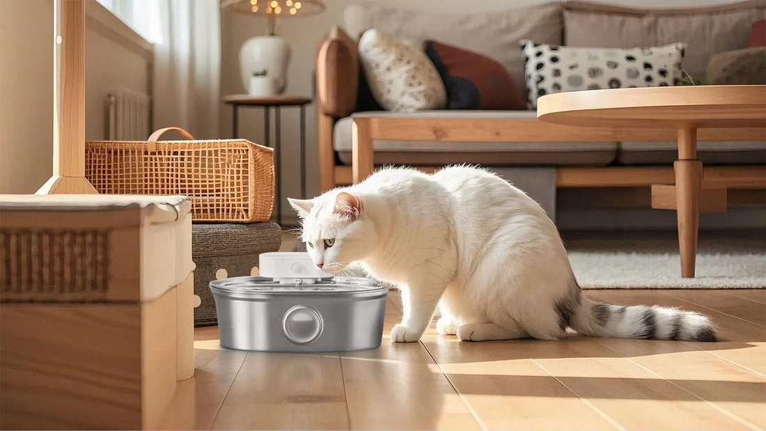Cat Water Fountain Reviews: The Ultimate Guide to Keeping Your Cat Hydrated