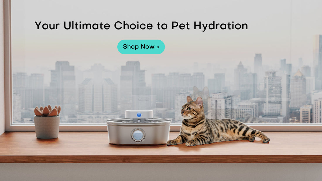 Flower Cat Water Drinking Fountain: A Purrfect Blend of Style and Functionality