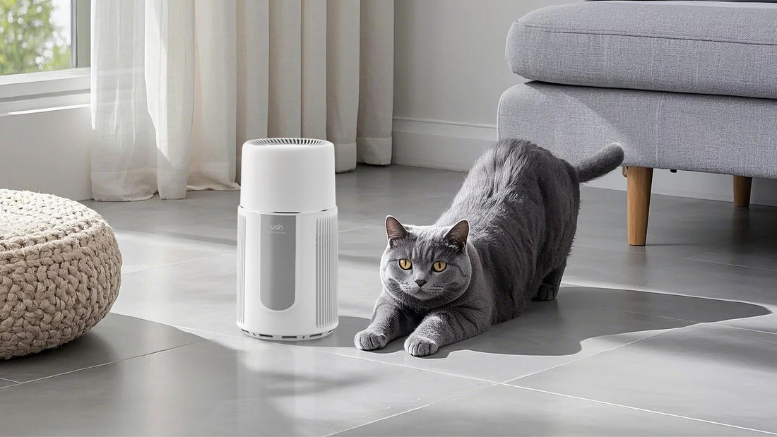 Top Air Purifiers for Pets: Clean Air for Your Furry Friends