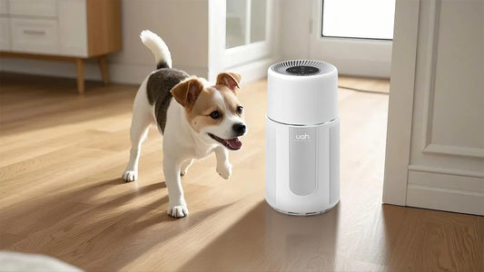 Best Home Air Purifier for Pet Hair: A Comprehensive Guide