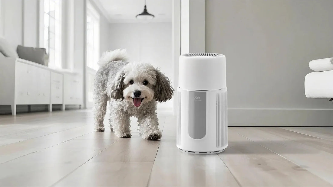 Does an Air Purifier Help With Dog Hair: Ultimate Pet Allergy Solution