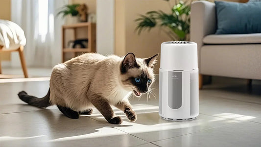 FAQ's Air Purifiers for Pets: Everything You Need to Know