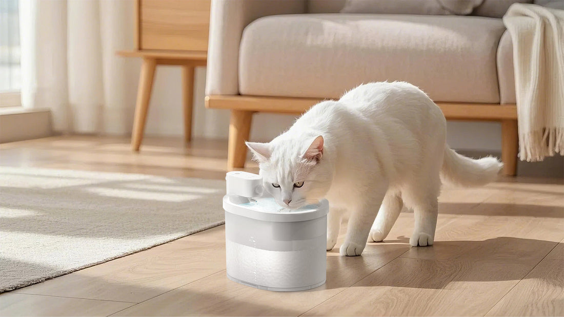 Fofnon Cat Water Fountain Instructions: A Complete Guide