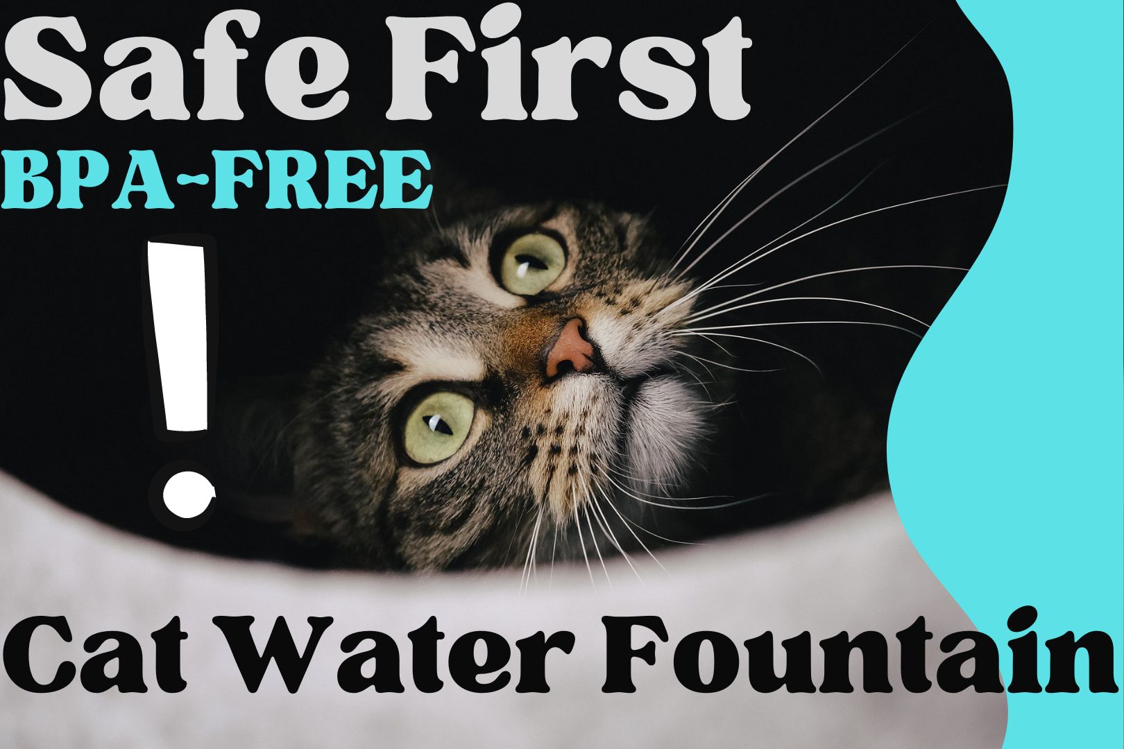 BPA free cat water fountain