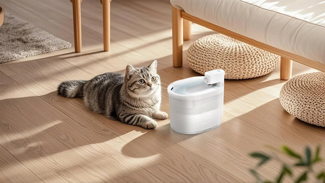 Rechargeable Cat Water Fountain: The Ultimate Solution for Hydrated Pets