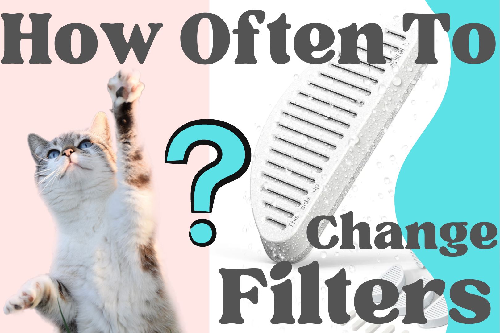 how often to change cat water fountain filters