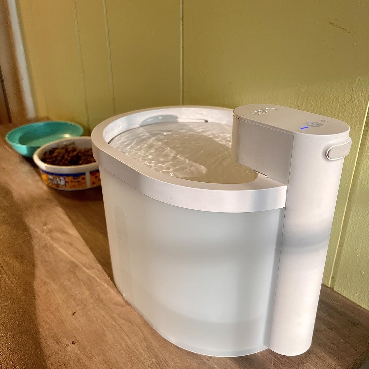 Easy to Clean Cat Water Bowl Fountain A HassleFree Solution uahpetofficial
