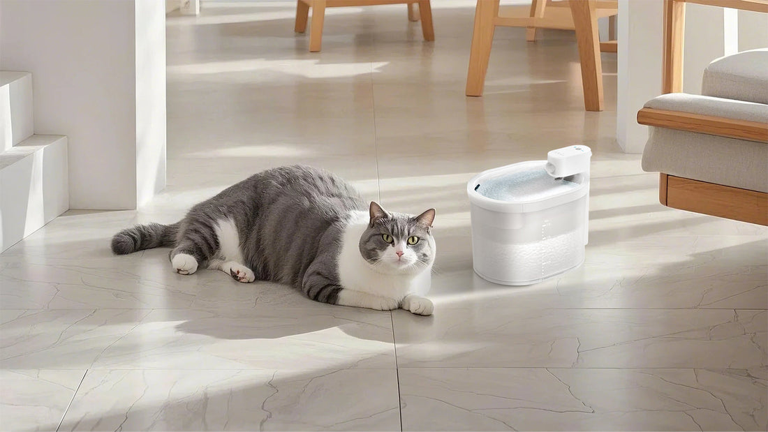 Uahpet Cat Water Fountain: The Ultimate Hydration Solution for Your Feline Friend
