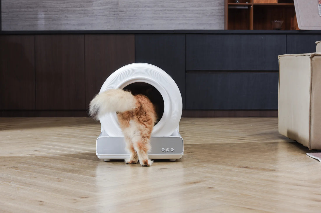 Cat Litter Box Under Bathroom Sink: The Ultimate Space-Saving Solution