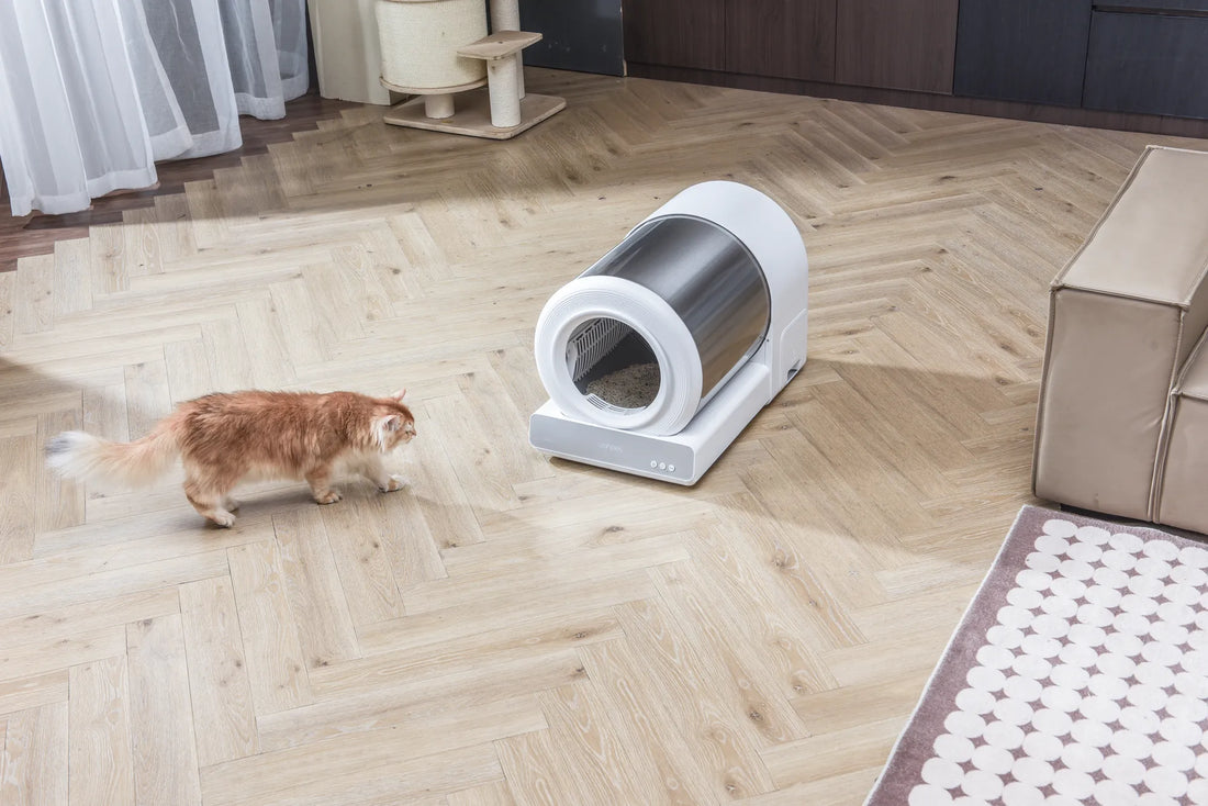 Stainless Steel Hooded Cat Litter Box: The Ultimate Solution for Pet Owners