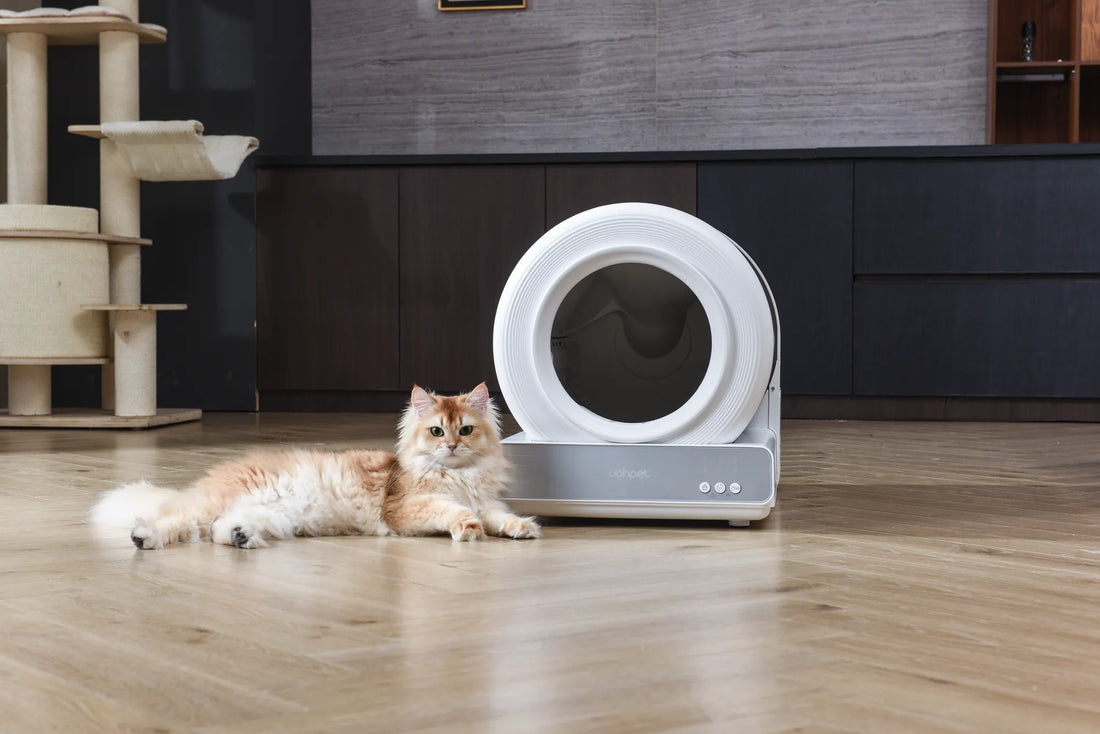 Why Does My Cat Scratch the Sides of His Litter Box?
