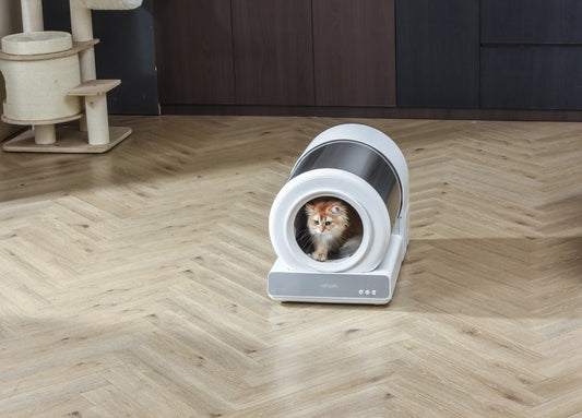 How to Clean Robot Cat Litter Box: A Comprehensive Guide
