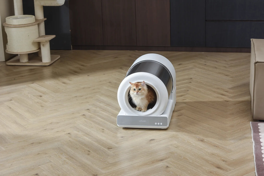 ScoopFree Self Cleaning Litter Box: Revolutionizing Pet Care