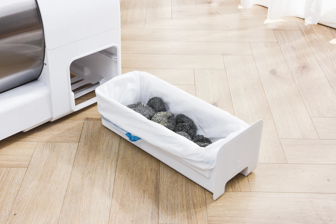 Cat Litter Box Cleaning Tips for a Fresh and Healthy Home