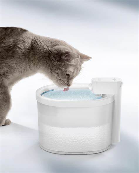 UAHPET vs Petlibro Water Fountain: Which One is Better for Your Pet's Hydration Needs?