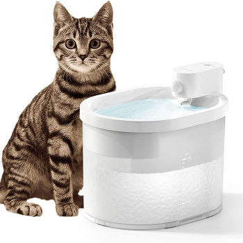 Best Cat Fountain for Big Cats: Top Picks and Buying Guide