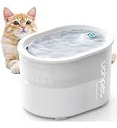 Troubleshooting Tips for Your Wireless Cat Water Fountain