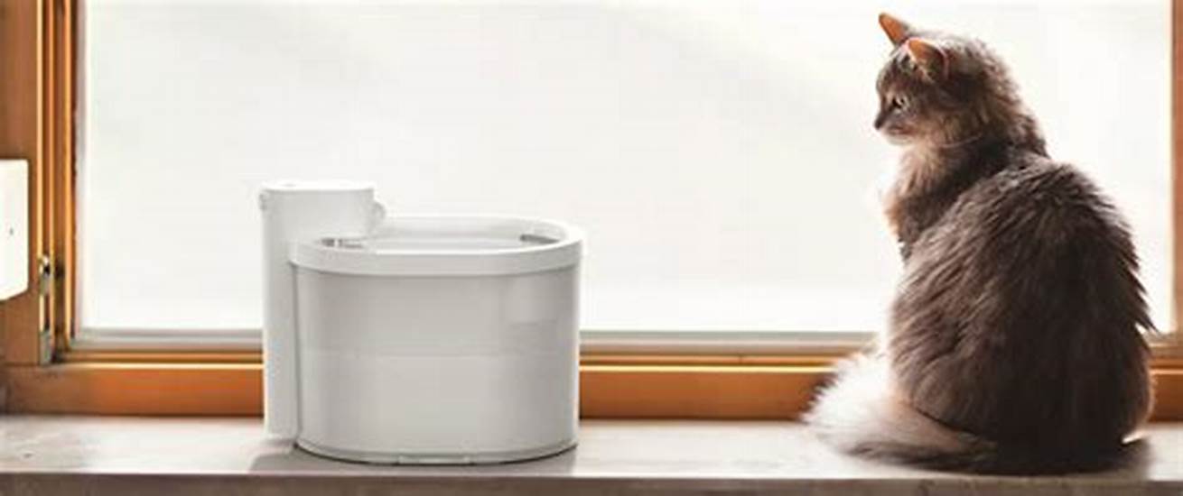 Can You Use Tap Water for Your Cat Water Fountain? A Clear Answer