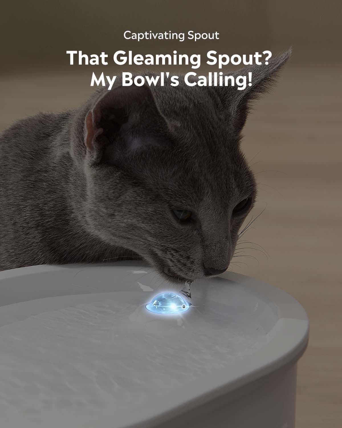A cat is drinking water from Uahpet GLOW pet water fountain