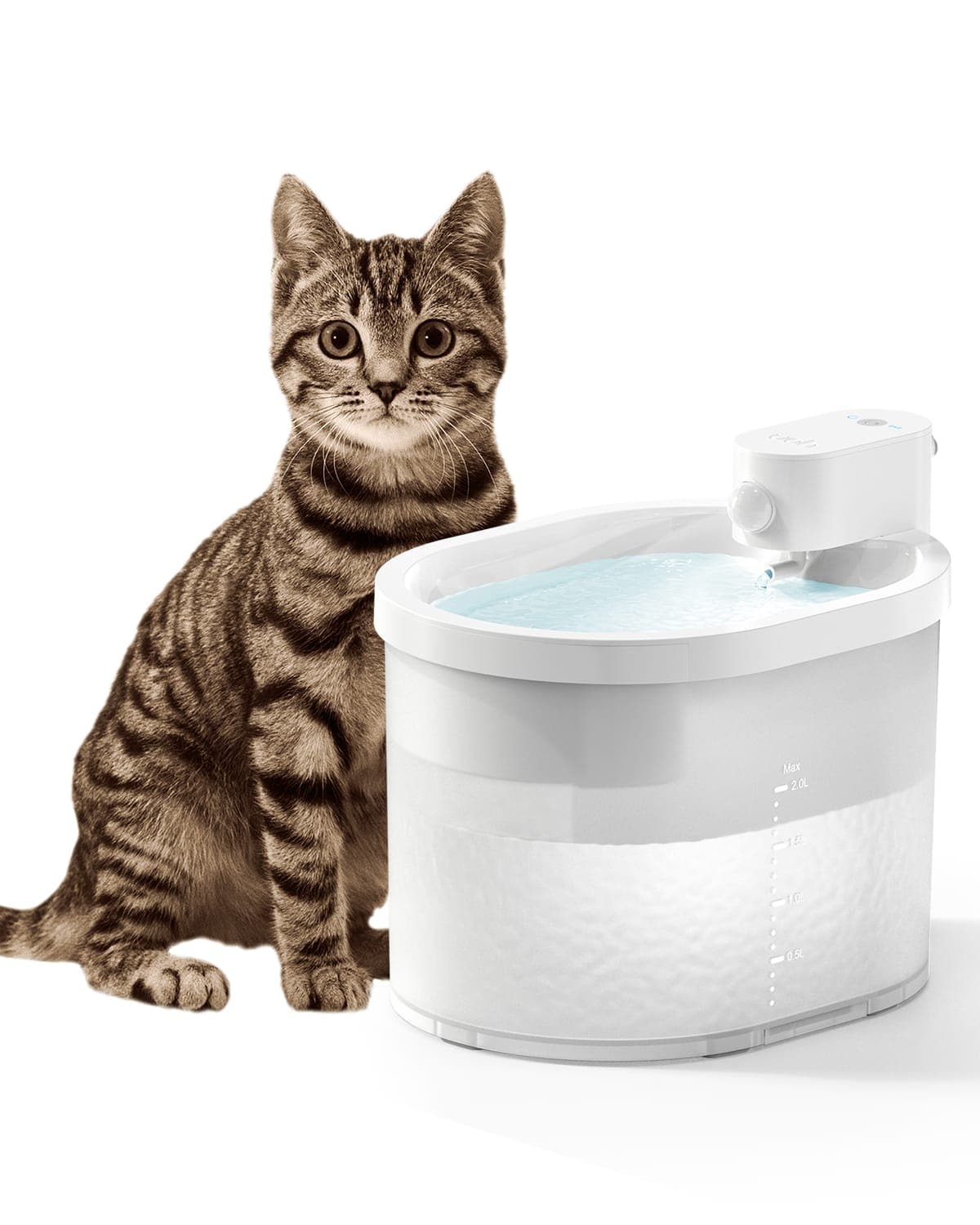 Double ZERO Cat Water Fountain with 2 Filters