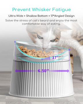 LED Fountian & Cat Essentials