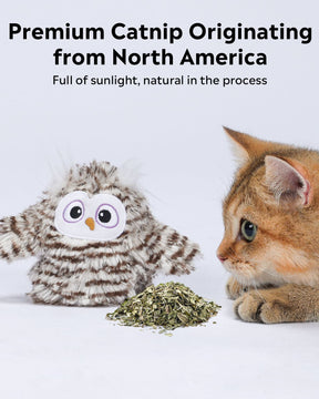 Uah Pet Crazy Swinging Owl Cat Toy