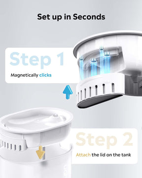 LED Fountian & Cat Essentials