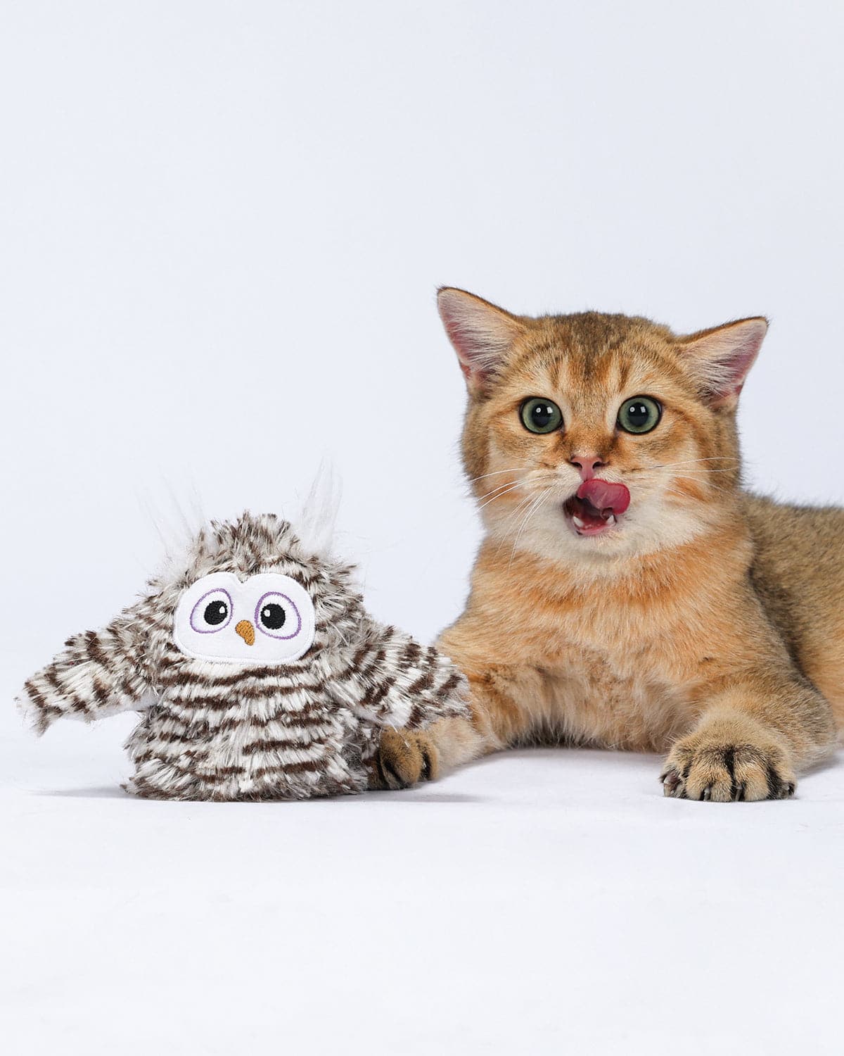 Uah Pet Crazy Swinging Owl Cat Toy