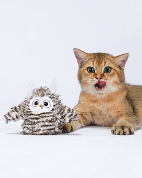 Uah Pet Crazy Swinging Owl Cat Toy