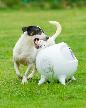 Uah Pet iRetriever Dog Ball Launcher