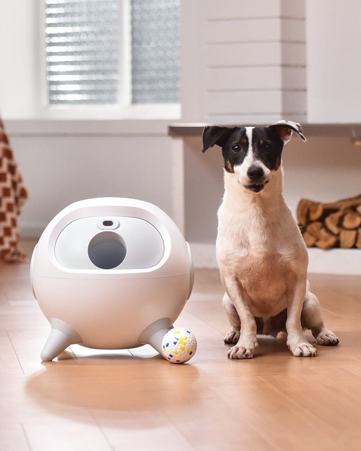 ALL FOR PAWS Smart Dog Treat Dispenser Toy Dog IQ Training Automatic Dog  Food Dispensing Toy Interactives Toys for Dogs, Touch Activated Rolling  Ball