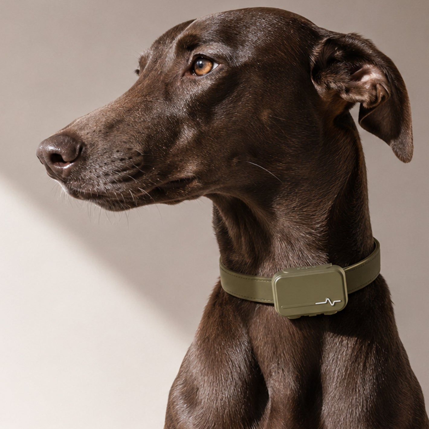 UAHPET Pulse Smart Health & GPS Tracker